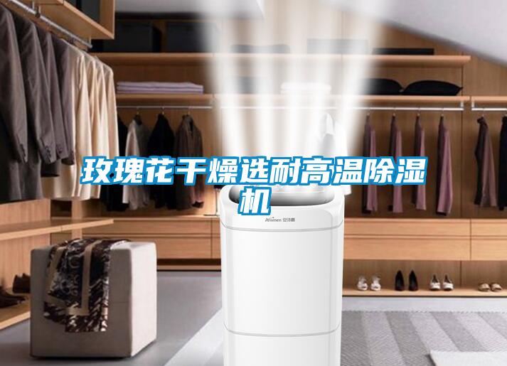 玫瑰花干燥選耐高溫除濕機