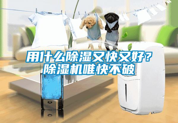 用什么除濕又快又好？除濕機唯快不破