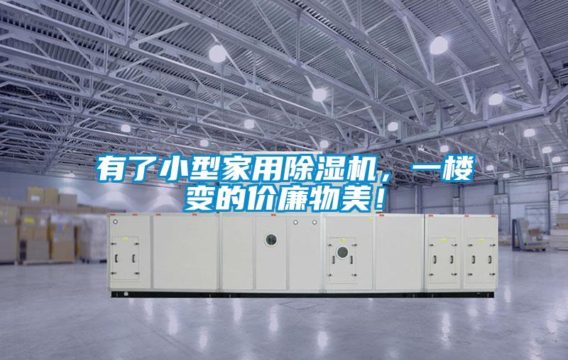 有了小型家用除濕機，一樓變的價廉物美！