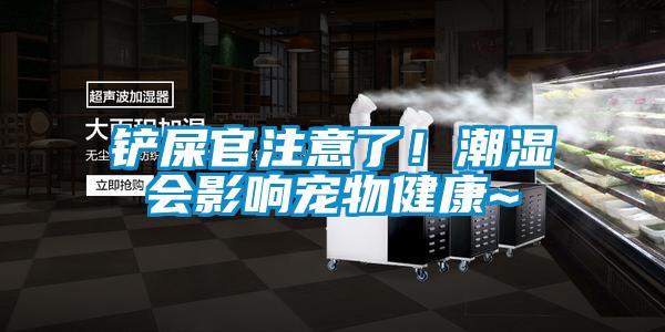 鏟屎官注意了！潮濕會影響寵物健康~