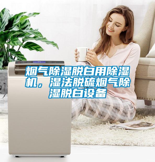 煙氣除濕脫白用除濕機(jī)，濕法脫硫煙氣除濕脫白設(shè)備