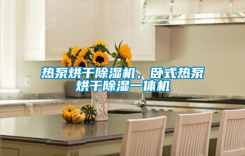熱泵烘干除濕機，臥式熱泵烘干除濕一體機