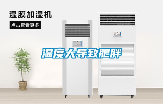 濕度大導致肥胖