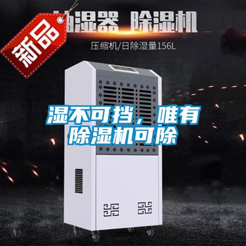 濕不可擋，唯有除濕機(jī)可除