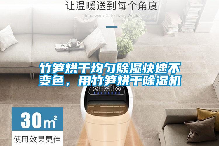 竹筍烘干均勻除濕快速不變色，用竹筍烘干除濕機