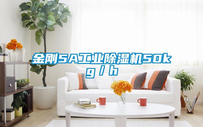 金剛5A工業除濕機50kg／h