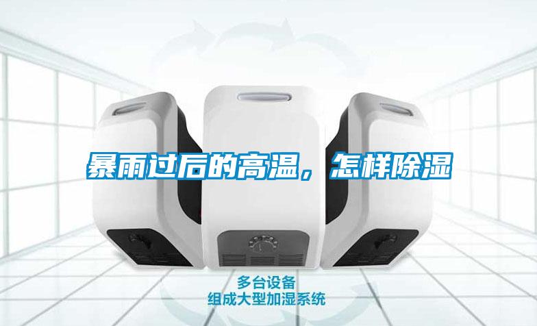 暴雨過后的高溫，怎樣除濕