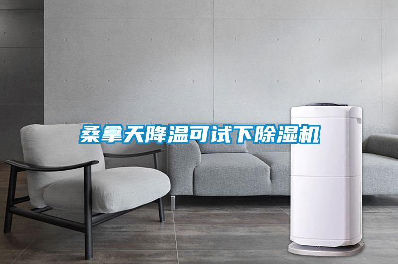 桑拿天降溫可試下除濕機
