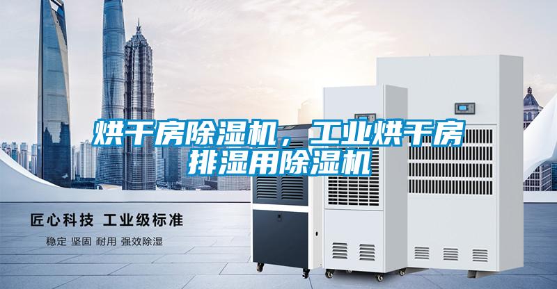 烘干房除濕機，工業烘干房排濕用除濕機
