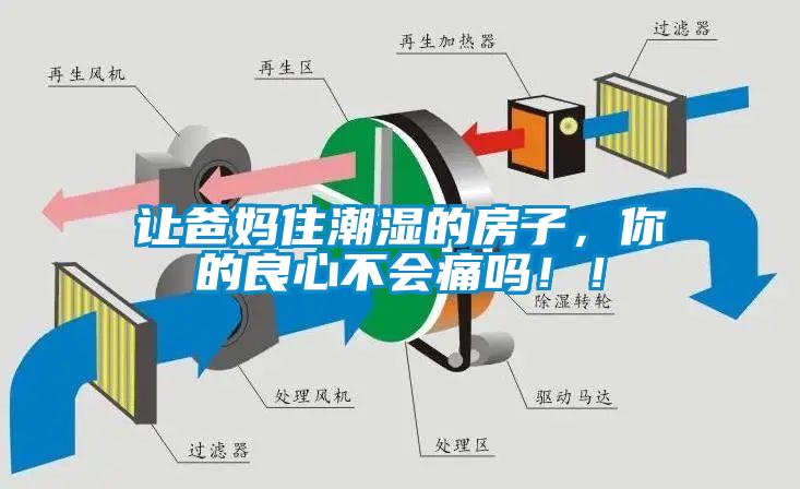 讓爸媽住潮濕的房子，你的良心不會痛嗎！！