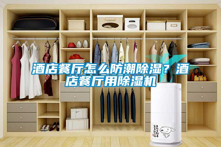 酒店餐廳怎么防潮除濕？酒店餐廳用除濕機