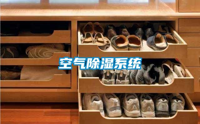 空氣除濕系統