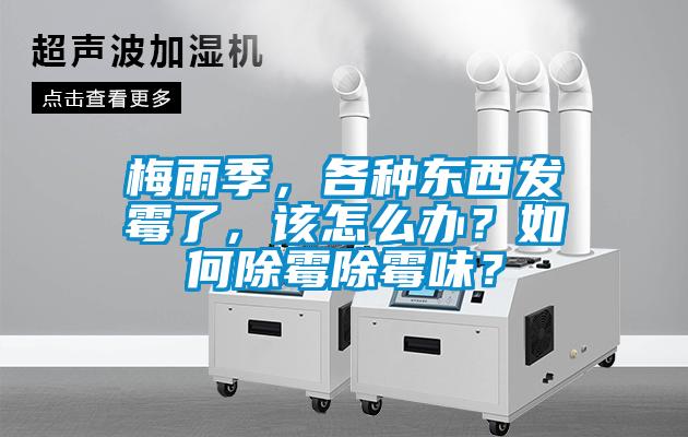 梅雨季，各種東西發霉了，該怎么辦？如何除霉除霉味？