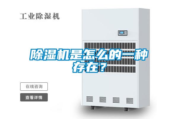 除濕機是怎么的一種存在？