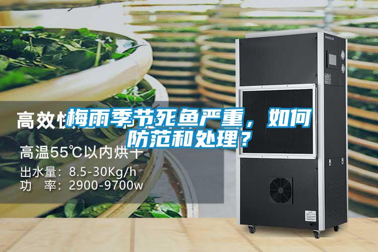 梅雨季節死魚嚴重，如何防范和處理？