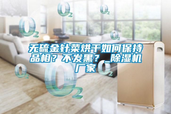 無硫金針菜烘干如何保持品相？不發黑？_除濕機廠家