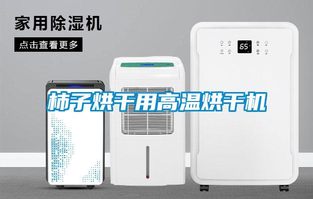 柿子烘干用高溫烘干機