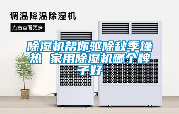 除濕機幫你驅除秋季燥熱 家用除濕機哪個牌子好