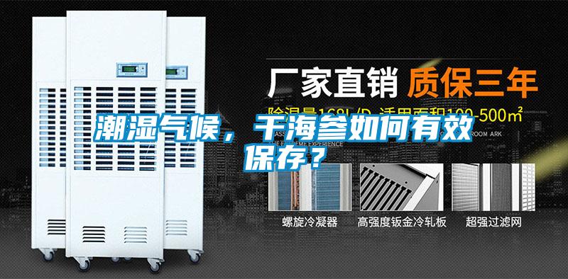 潮濕氣候，干海參如何有效保存？