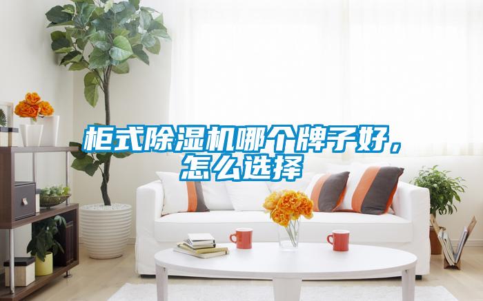 柜式除濕機哪個牌子好，怎么選擇