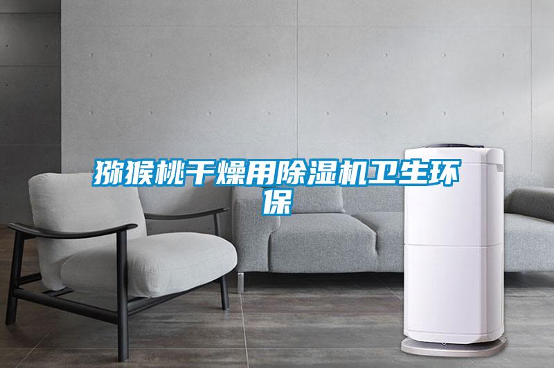 獼猴桃干燥用除濕機衛生環保