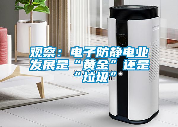 觀察：電子防靜電業發展是“黃金”還是“垃圾”