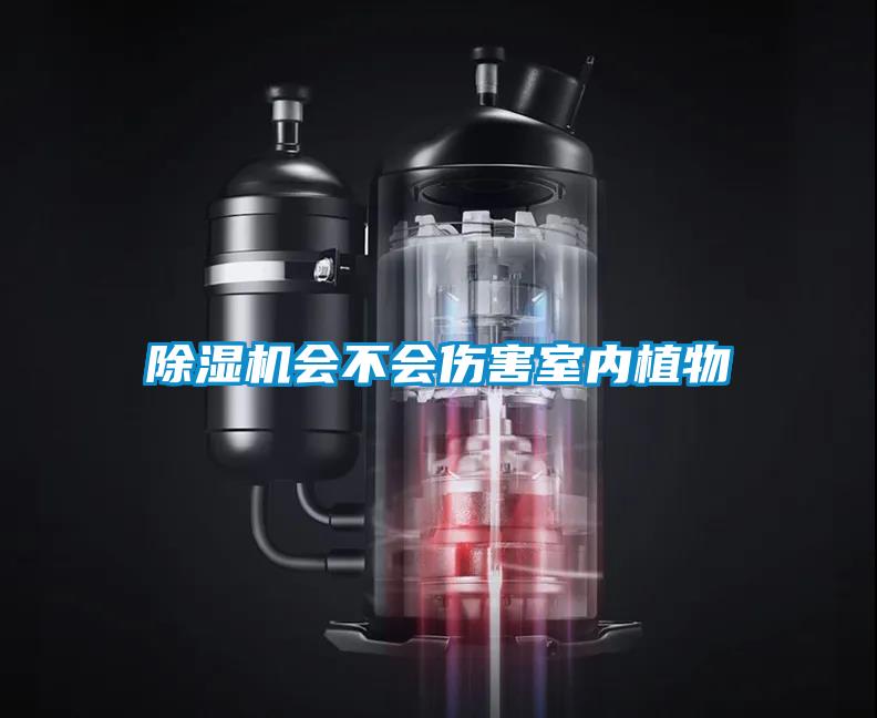除濕機會不會傷害室內植物