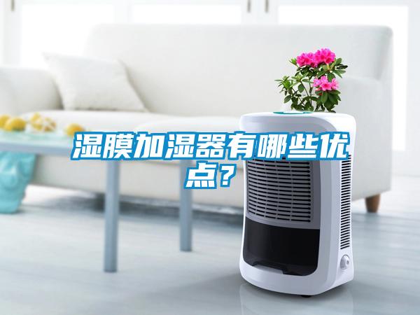 濕膜加濕器有哪些優點？