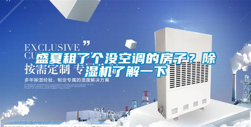盛夏租了個沒空調的房子？除濕機了解一下