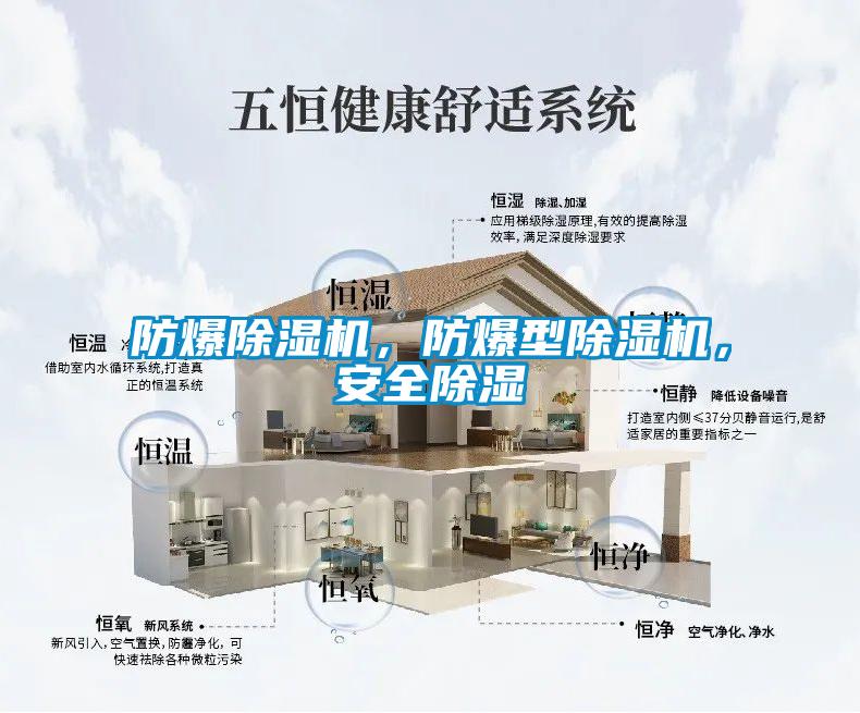 防爆除濕機，防爆型除濕機，安全除濕