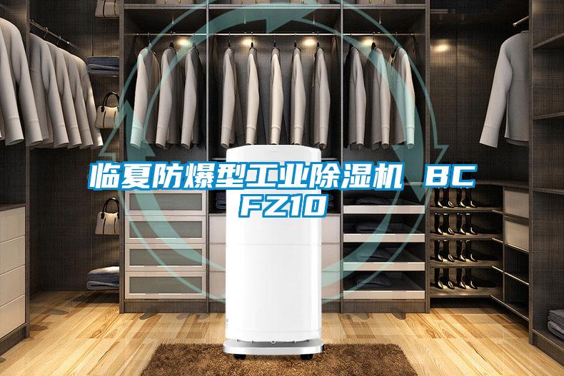 臨夏防爆型工業除濕機 BCFZ10