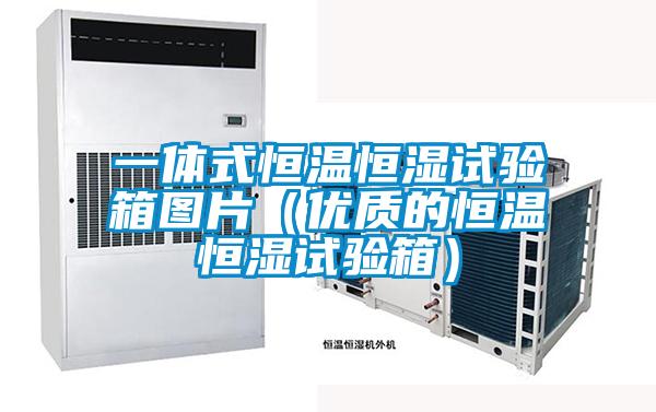 一體式恒溫恒濕試驗箱圖片（優質的恒溫恒濕試驗箱）