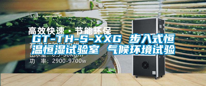 GT-TH-S-XXG 步入式恒溫恒濕試驗室 氣候環境試驗