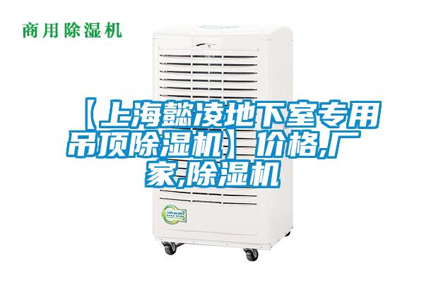 【上海懿凌地下室專用吊頂除濕機(jī)】?jī)r(jià)格,廠家,除濕機(jī)