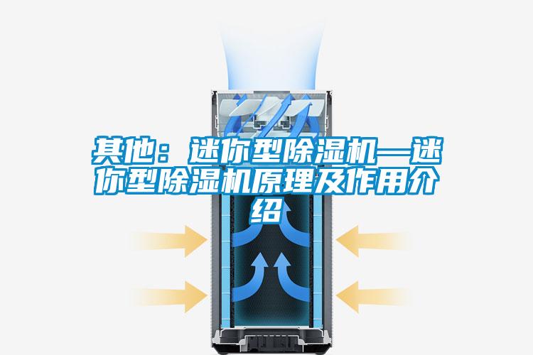 其他：迷你型除濕機—迷你型除濕機原理及作用介紹