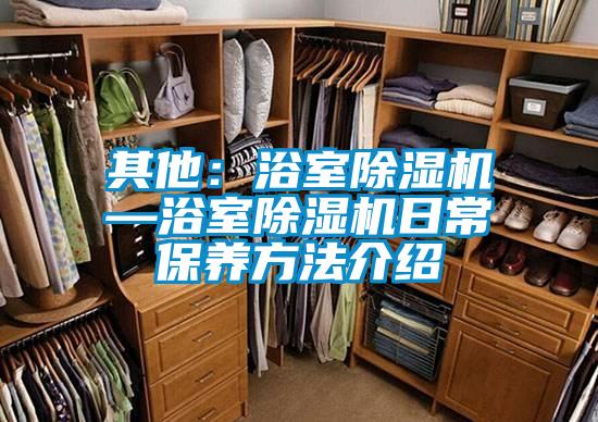 其他：浴室除濕機—浴室除濕機日常保養方法介紹
