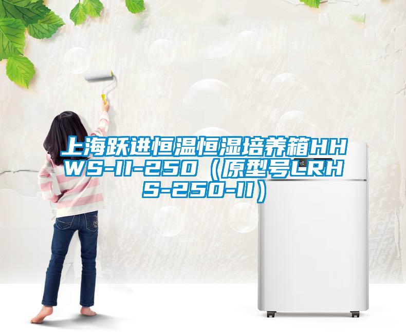 上海躍進恒溫恒濕培養箱HHWS-II-250（原型號LRHS-250-II）