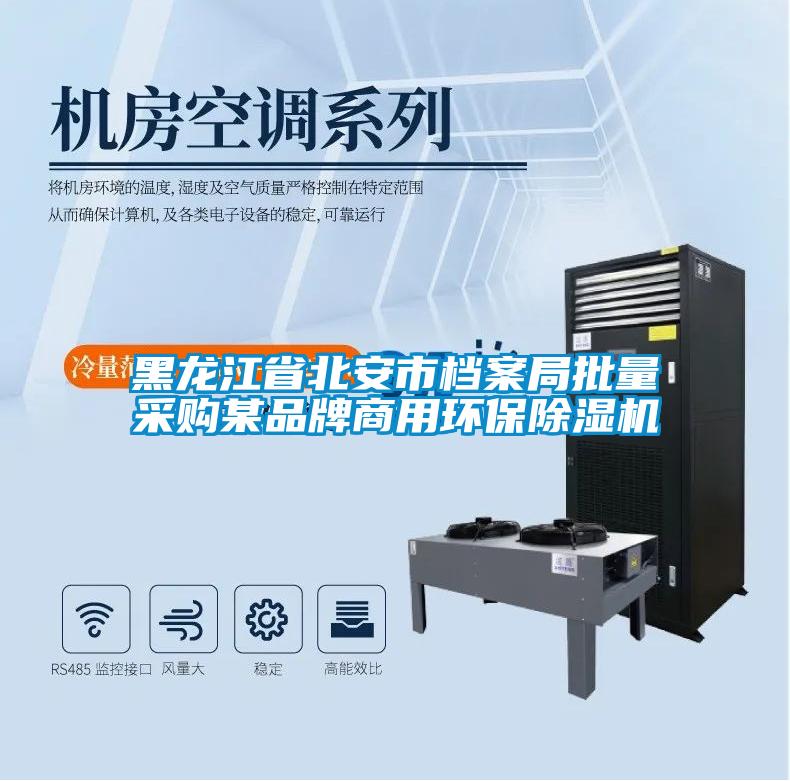 黑龍江省北安市檔案局批量采購(gòu)某品牌商用環(huán)保除濕機(jī)
