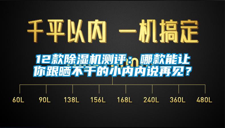 12款除濕機測評：哪款能讓你跟曬不干的小內內說再見？