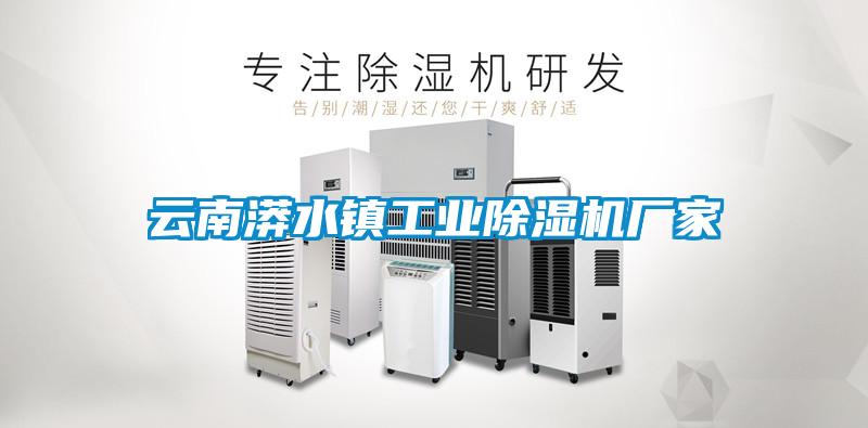云南漭水鎮工業除濕機廠家