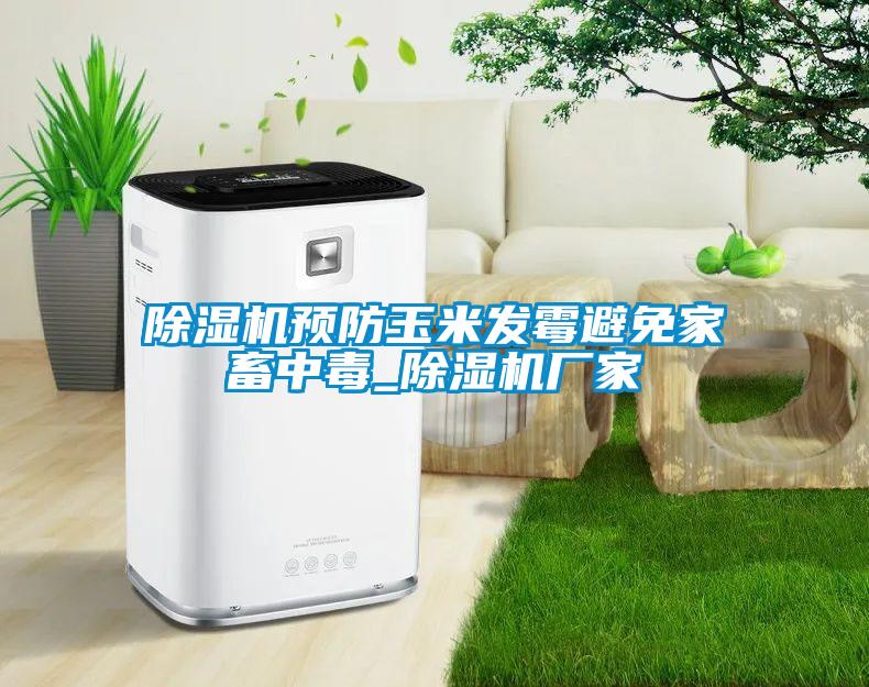 除濕機預防玉米發(fā)霉避免家畜中毒_除濕機廠家