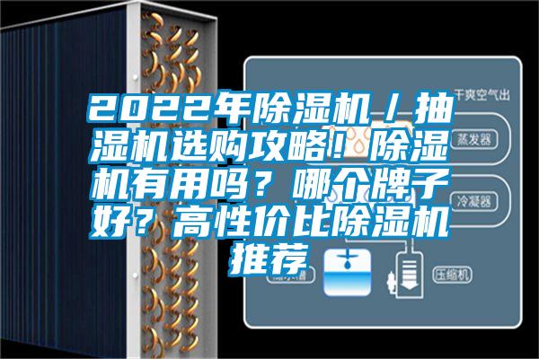 2022年除濕機／抽濕機選購攻略！除濕機有用嗎？哪個牌子好？高性價比除濕機推薦