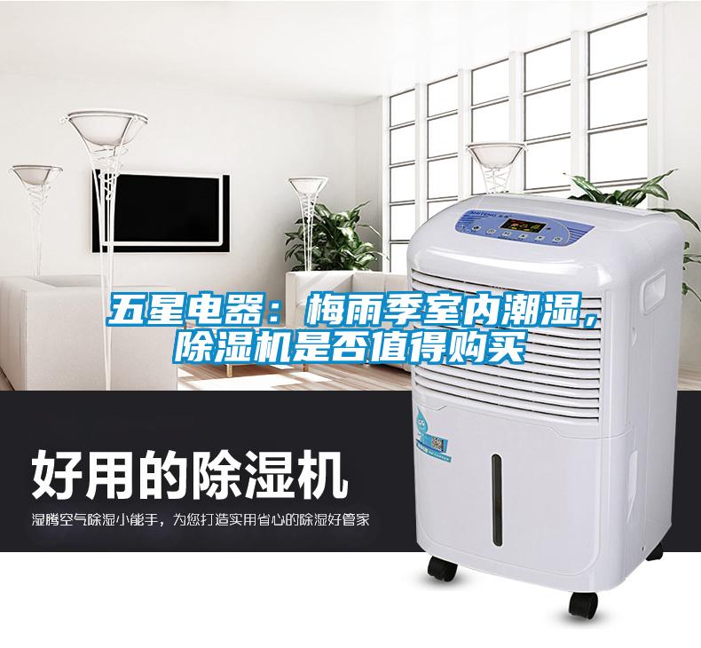 五星電器：梅雨季室內潮濕，除濕機是否值得購買