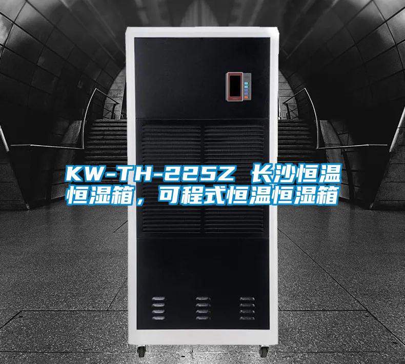 KW-TH-225Z 長沙恒溫恒濕箱，可程式恒溫恒濕箱