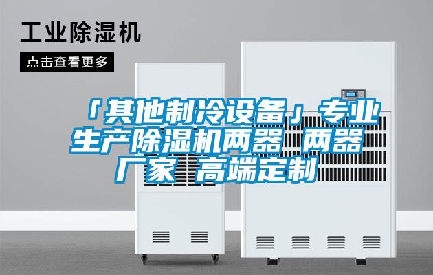 「其他制冷設(shè)備」專業(yè)生產(chǎn)除濕機(jī)兩器 兩器廠家 高端定制