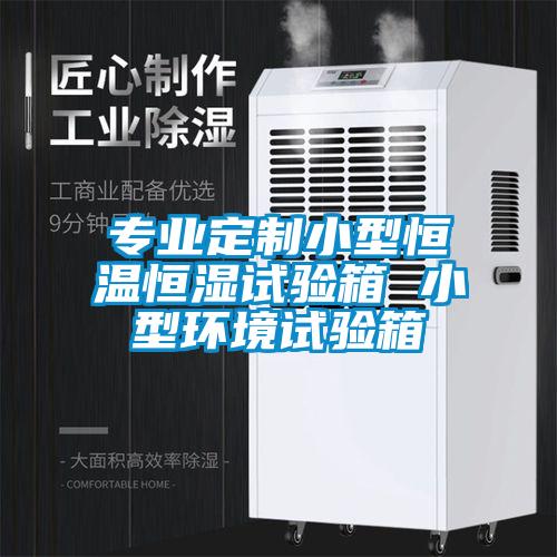 專業定制小型恒溫恒濕試驗箱 小型環境試驗箱