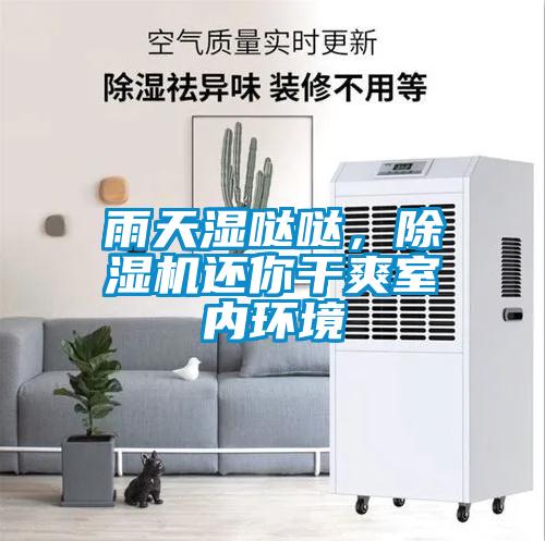 雨天濕噠噠，除濕機還你干爽室內環境