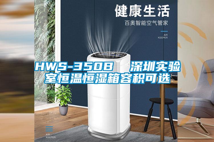 HWS-350B  深圳實(shí)驗(yàn)室恒溫恒濕箱容積可選