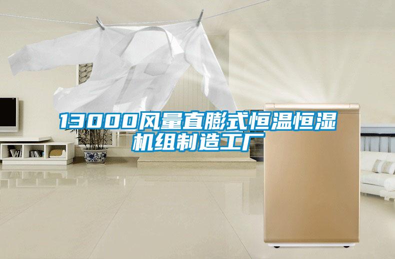 13000風量直膨式恒溫恒濕機組制造工廠