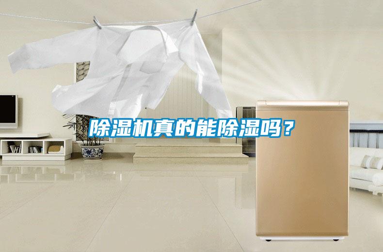 除濕機真的能除濕嗎？